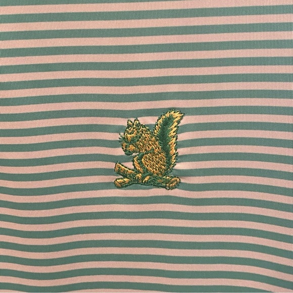 FootJoy Men Green Striped Squirrel Embroidery Polo Golf Shirt Size Small - Picture 3 of 8